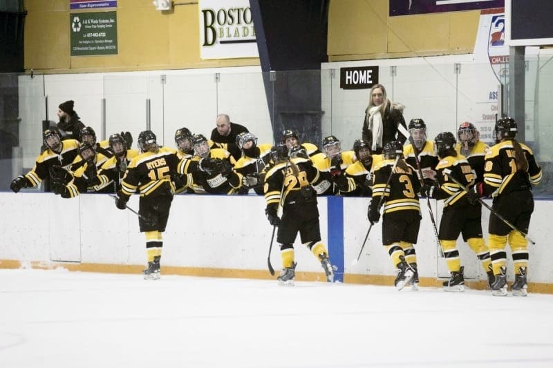 Cwhl Boston Blades