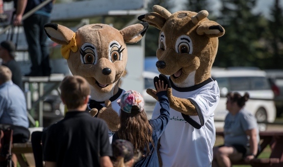 Tansi Ravi Mascots